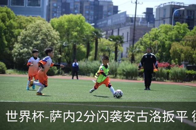 世界杯-萨内2分闪袭安古洛扳平 德国半场1-1厄瓜多尔