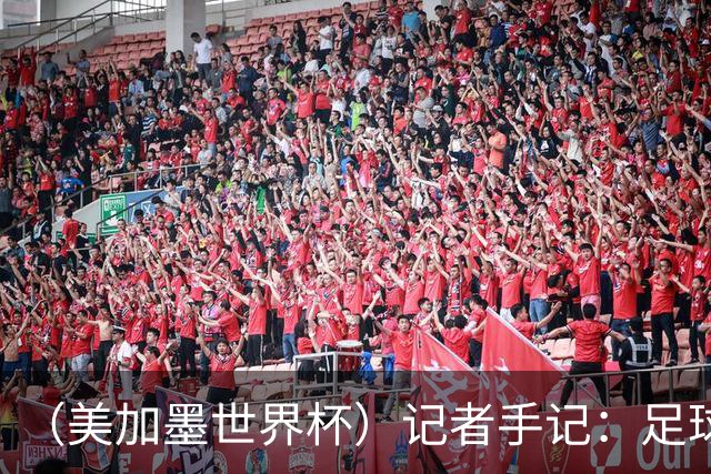 （美加墨世界杯）记者手记：足球在美国，熟悉又陌生